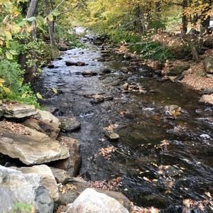 Meet your Posher, Nichole